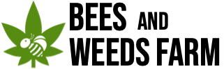 404